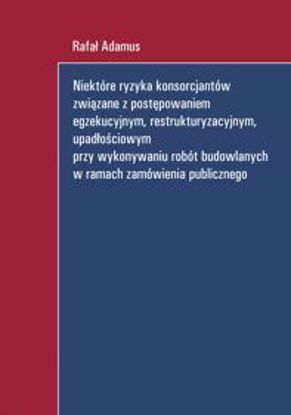 Obrazek Niektóre ryzyka konsorcjanów związane z postępowaniem egzekucyjnym, restrukturyzacyjnym, upadłościowym przy wykonywaniu robót budowlanych w ramach zamówienia publicznego