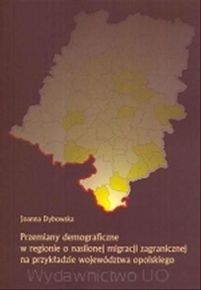 Obrazek Przemiany demograficzne w regionie o nasilonej migracji zagranicznej na przykładzie województwa Wielkopolskiego (STUDIA I MONOGRAFIE NR 487)